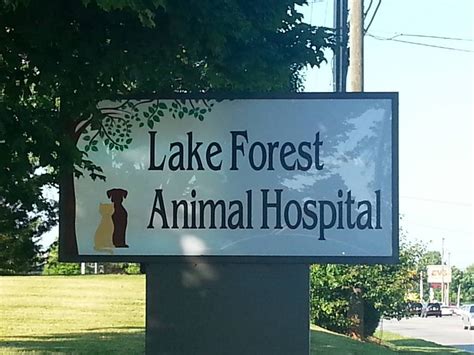 Lake forest animal hospital - Moved Permanently. The document has moved here.